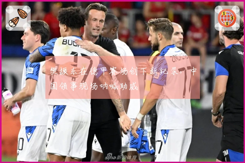樊振东在德甲赛场创下新纪录，中国领事现场呐喊助威