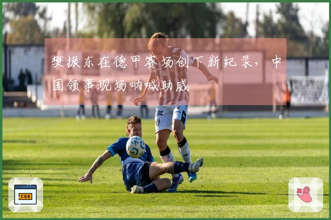 樊振东在德甲赛场创下新纪录，中国领事现场呐喊助威